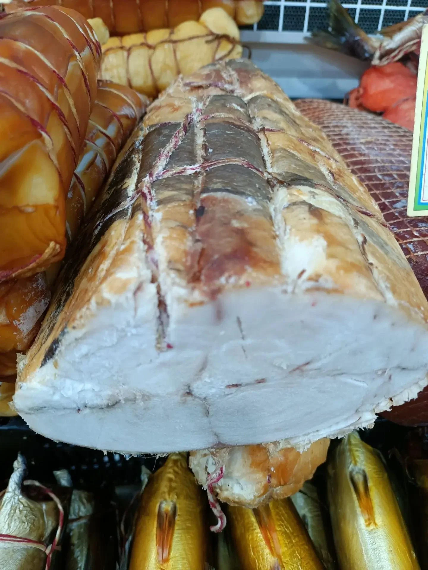 Клыкач г/к