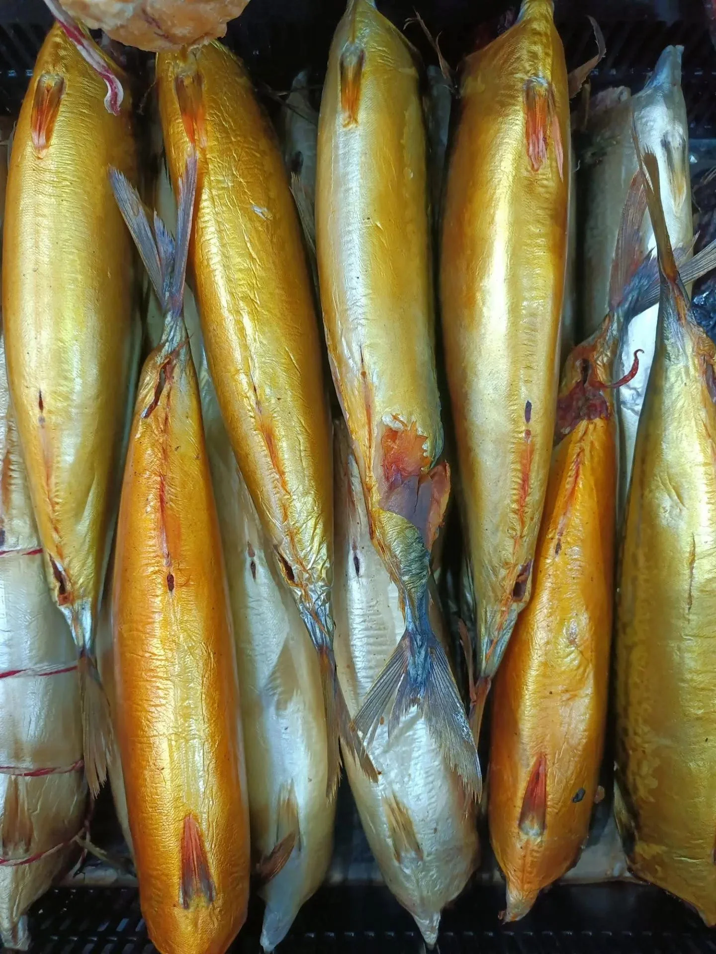 Скумбрия х/к